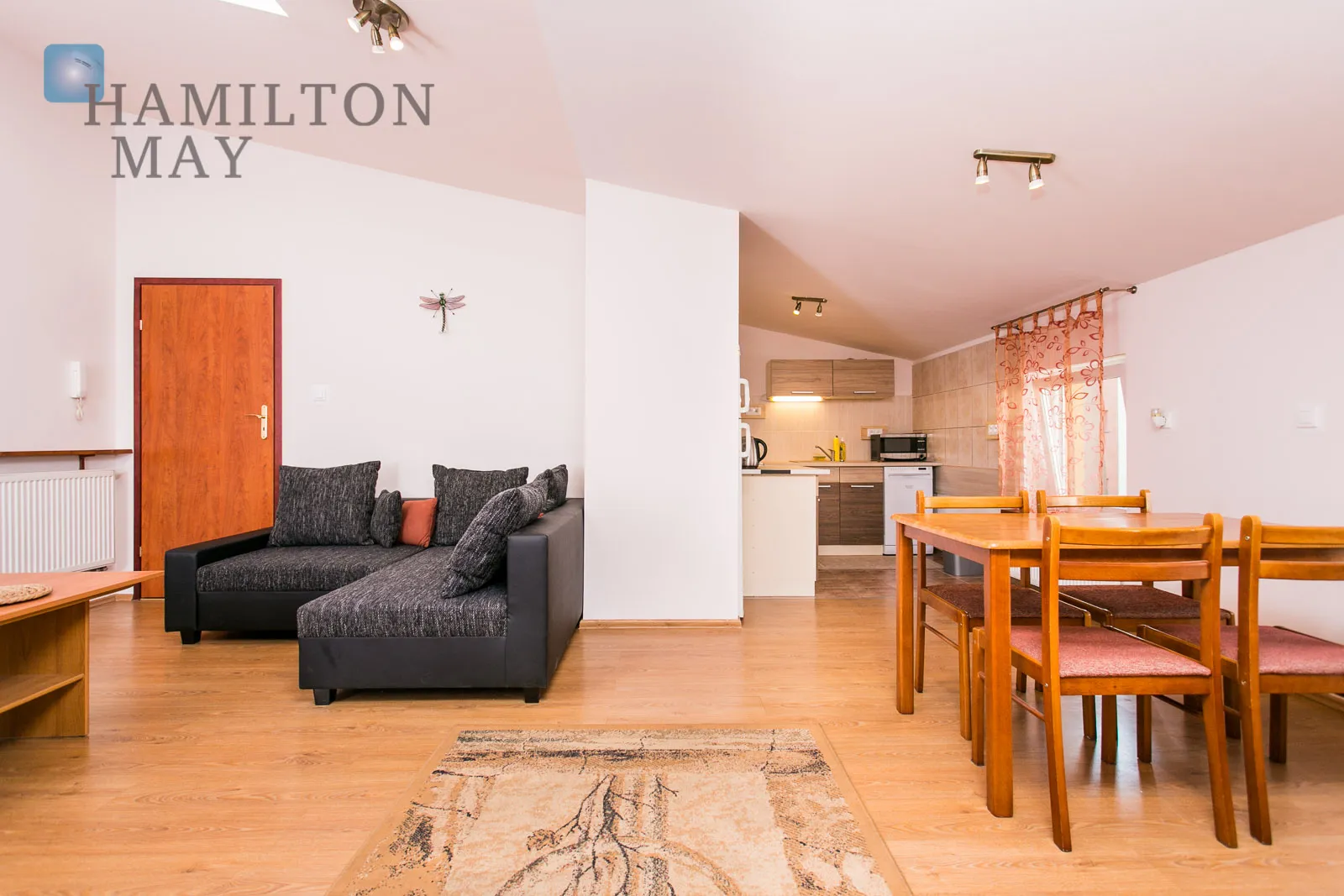 Bright and spacious apartment on Grzegórzecka Street - slider