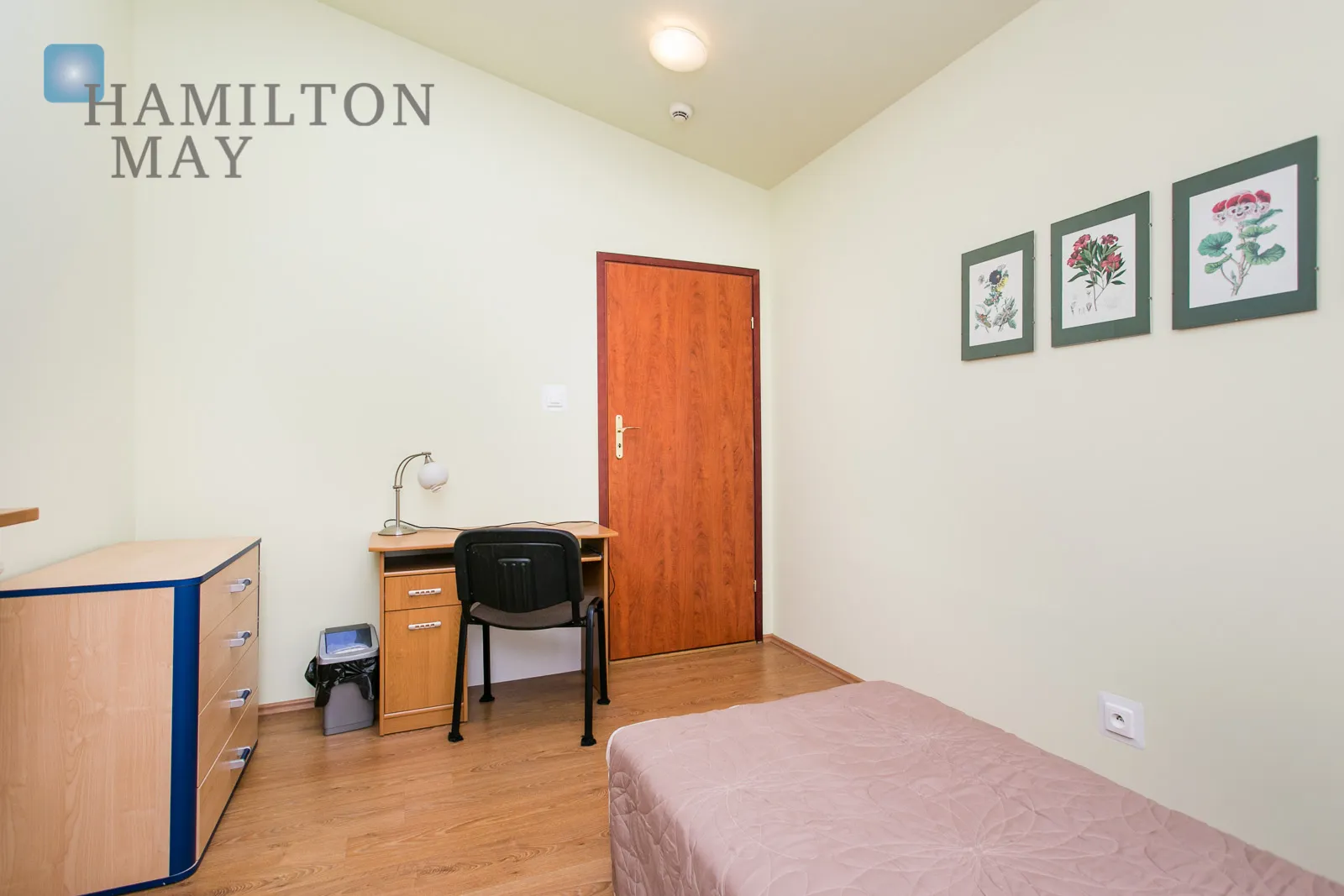 Bright and spacious apartment on Grzegórzecka Street - slider