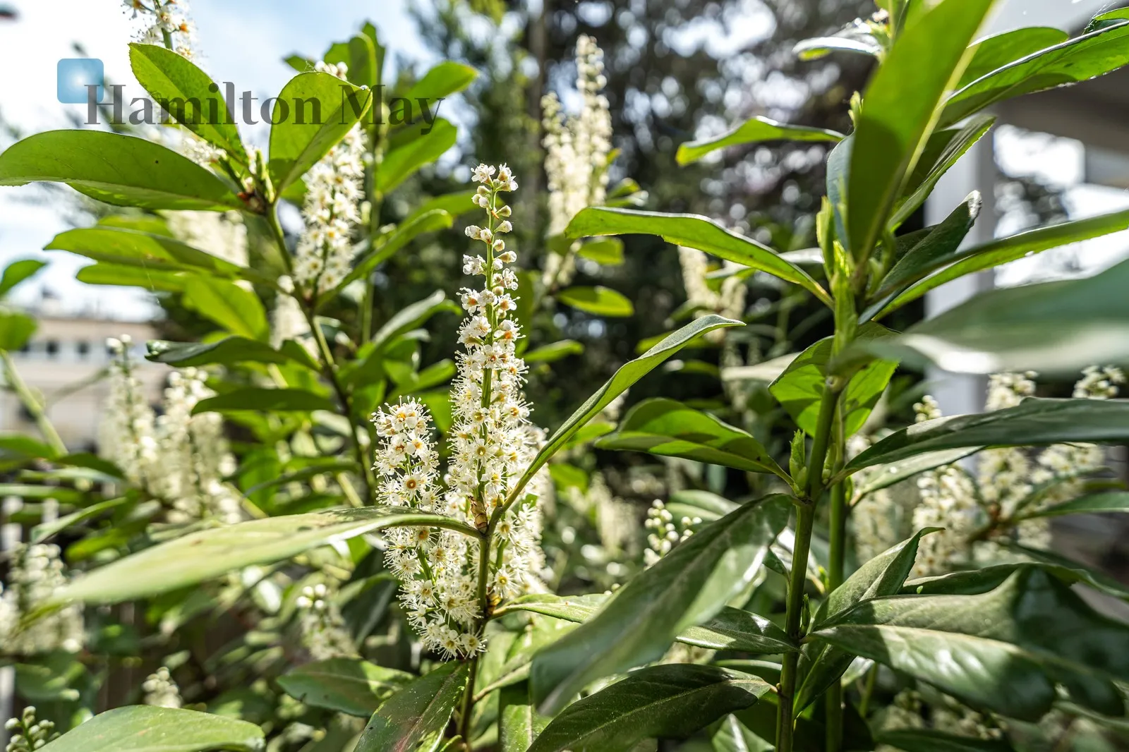 Dom z ogrodem niedaleko Wisły w dzielnicy Zwierzyniec - slider