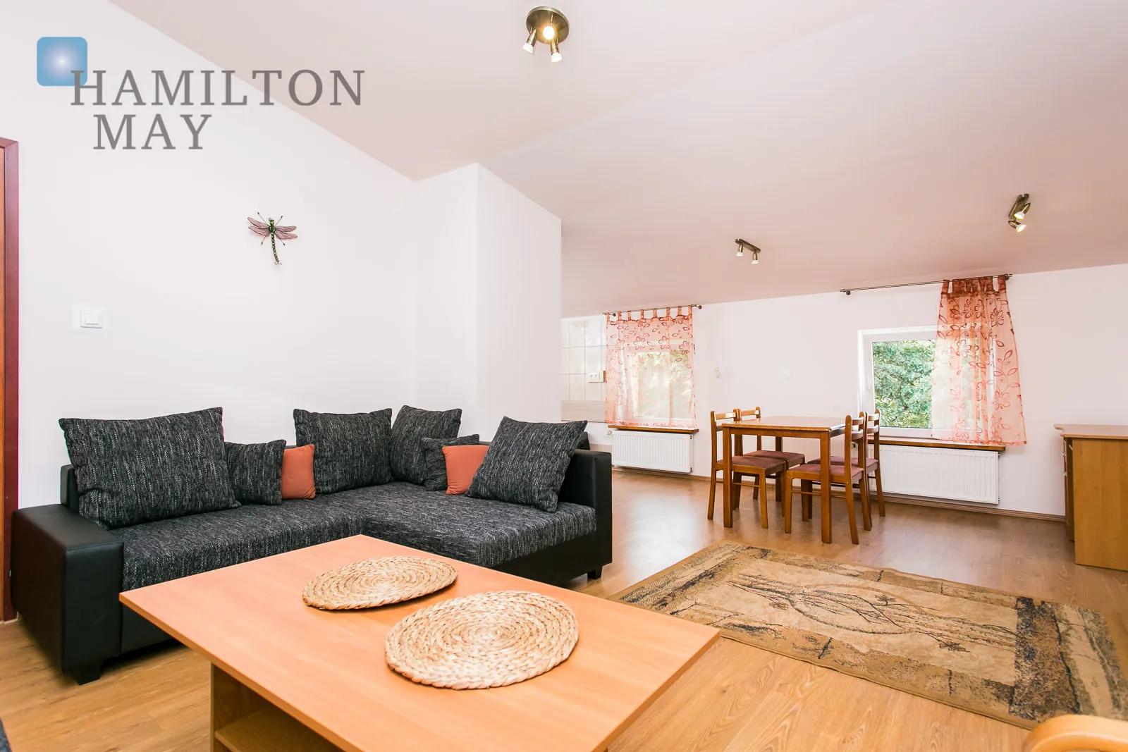 Bright and spacious apartment on Grzegórzecka Street - slider