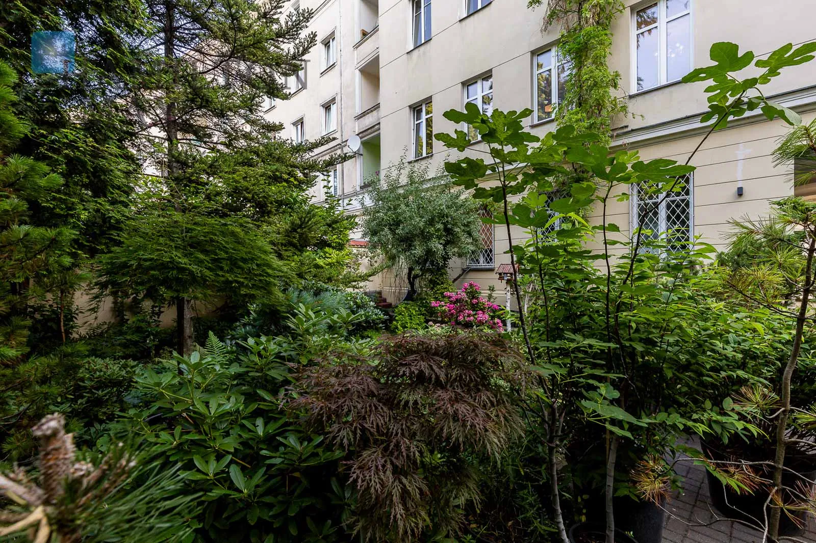 Przestronne 2-pokojowe mieszkanie w sercu Śródmieścia - slider