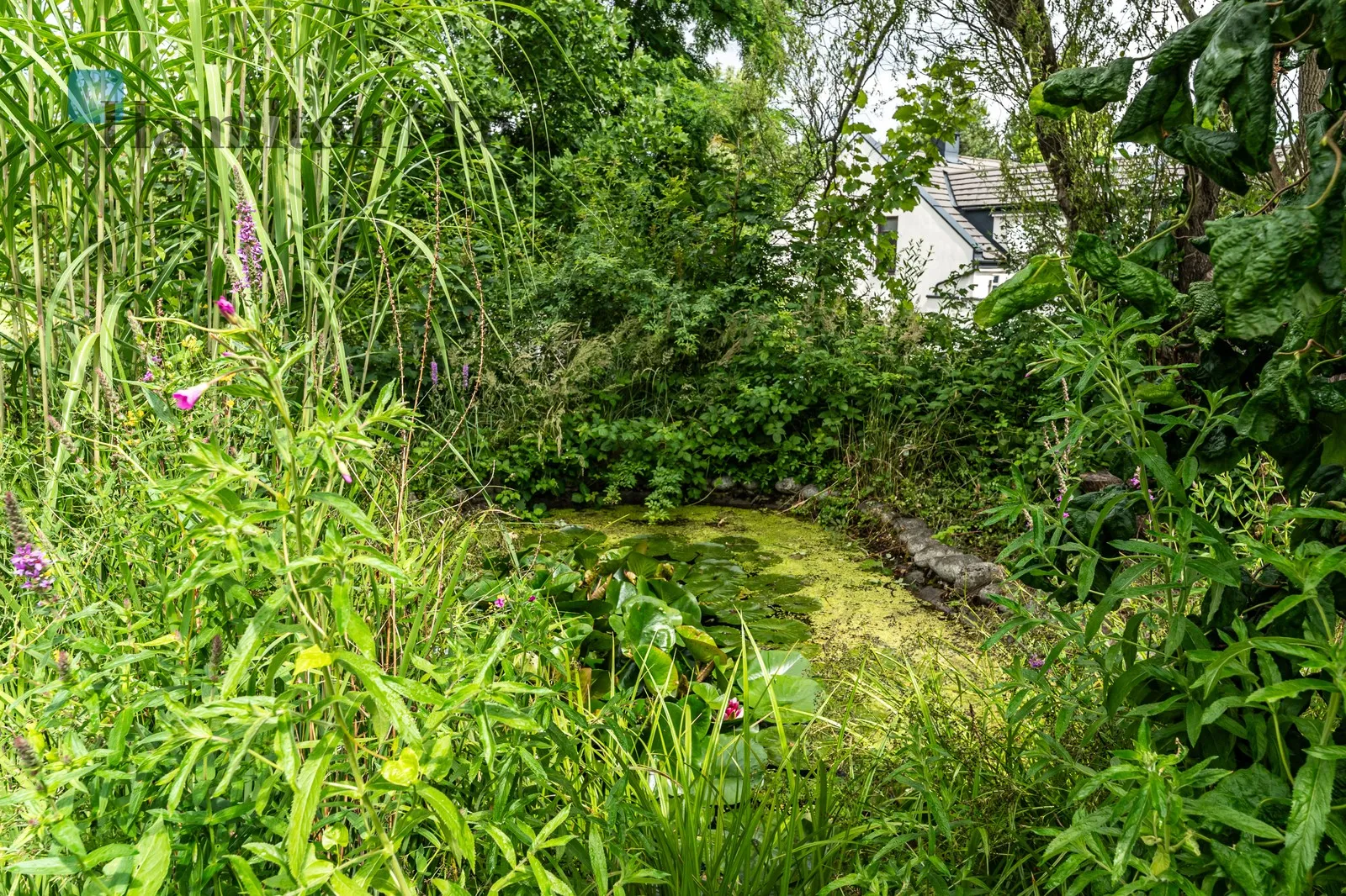 Street: Wyrwa Region: Swoszowice Distance to centre: 7.42 km - slider