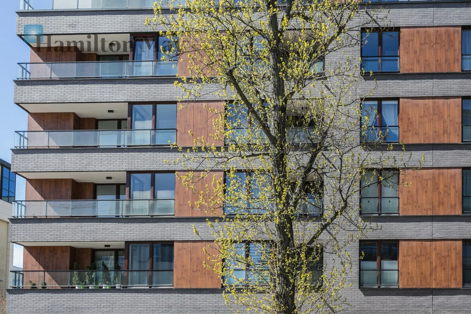 Level: 6 Price: 5000 PLN Bedrooms: 1 Bathrooms: 1 Size: 57m2 Price/m2: 88 PLN - slider