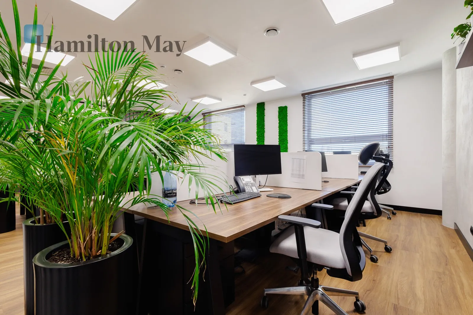 Street: Powązkowska Region: Warszawa Distance to centre: 4.67 km Level: 4 Price: 4220000 PLN Bedrooms: null Bathrooms: null Plot size: nullm2 - slider
