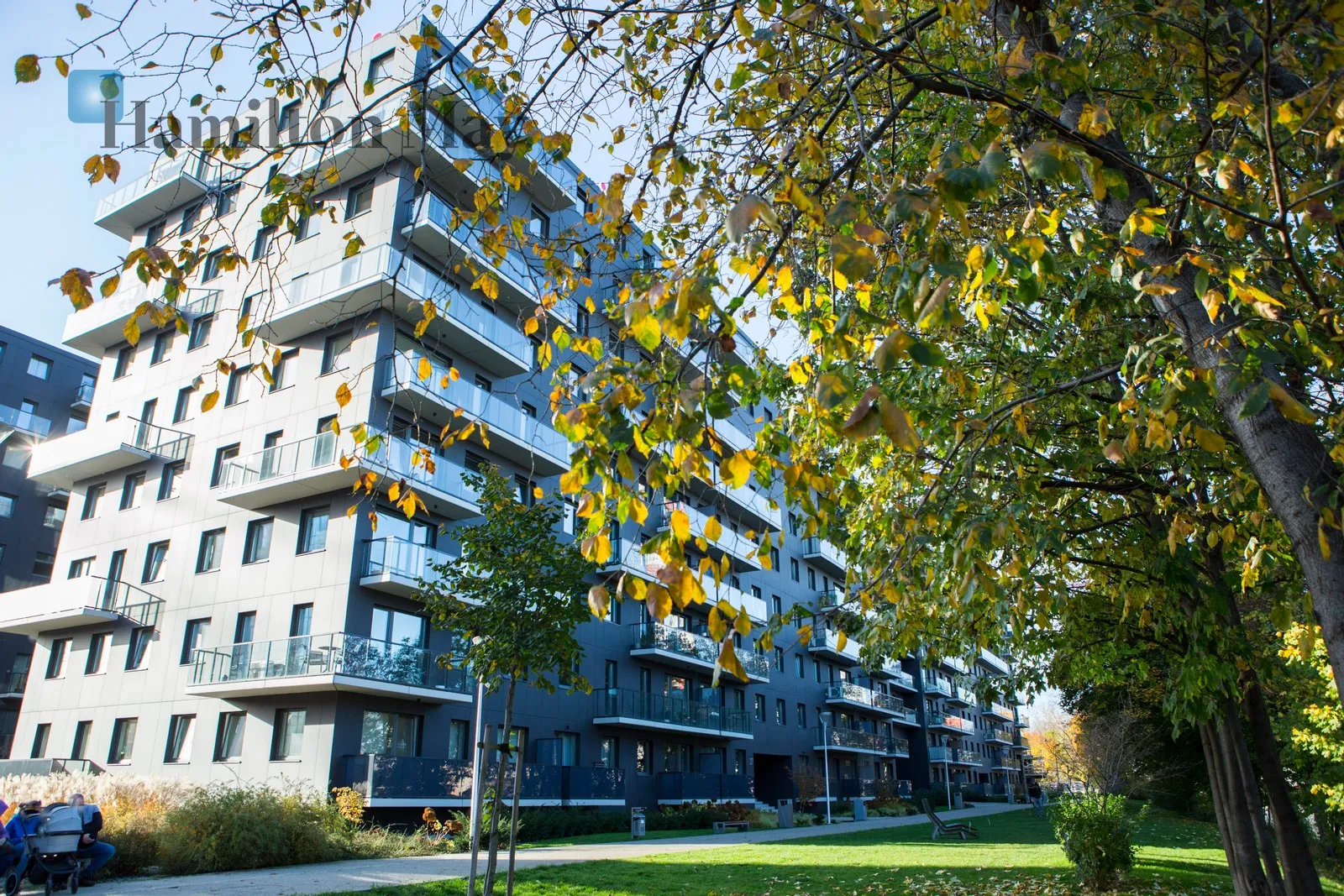 City: Wrocław Street: Mieszczańska Region: Śródmieście Subregion: Kępa Mieszczańska Distance to centre: 1.11 km Level: 6 Price: 3300 PLN Bedrooms: 1 Bathrooms: 1 Size: 39m2 Price/m2: 85 PLN - slider