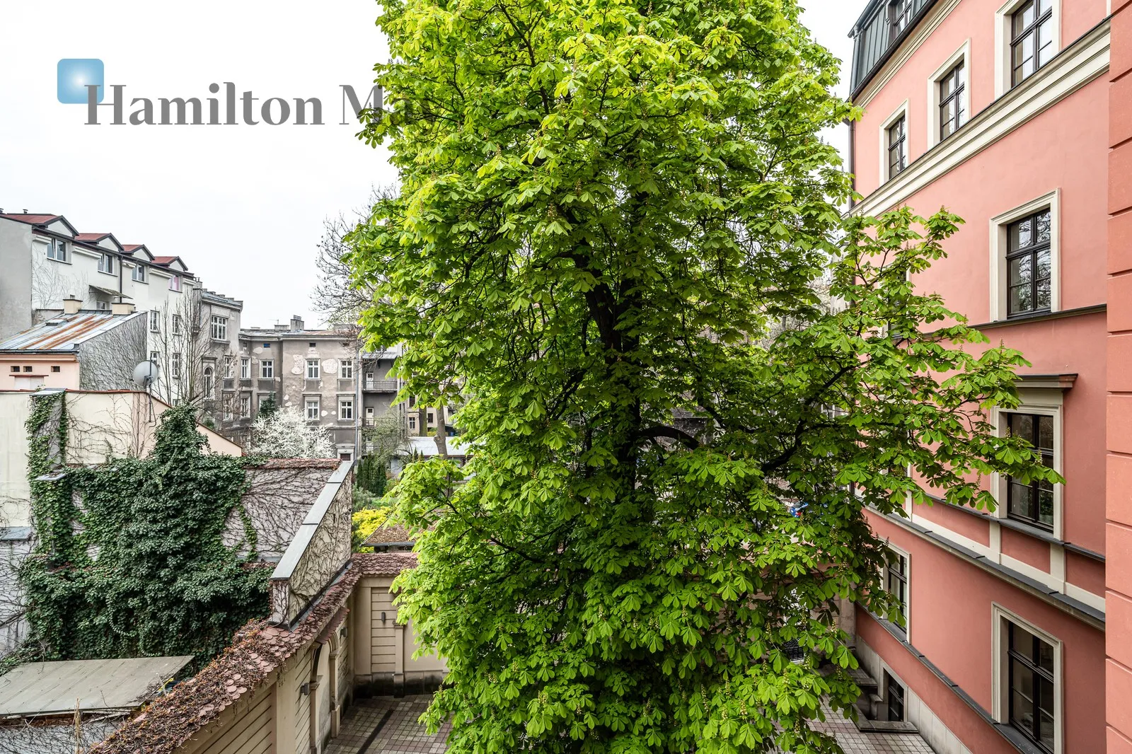 Office premises with an area of 65 m2 in Pałacyk pod Orłem at ul. Krupnicza

 - slider