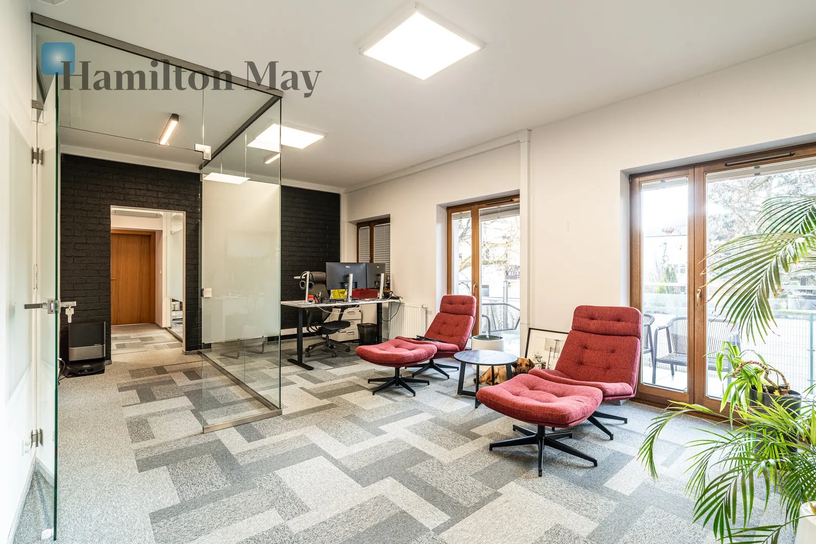 Nowoczesne i eleganckie biuro 130 m2 w prestiżowej lokalizacji Krakowa- Osiedle Oficerskie  - slider