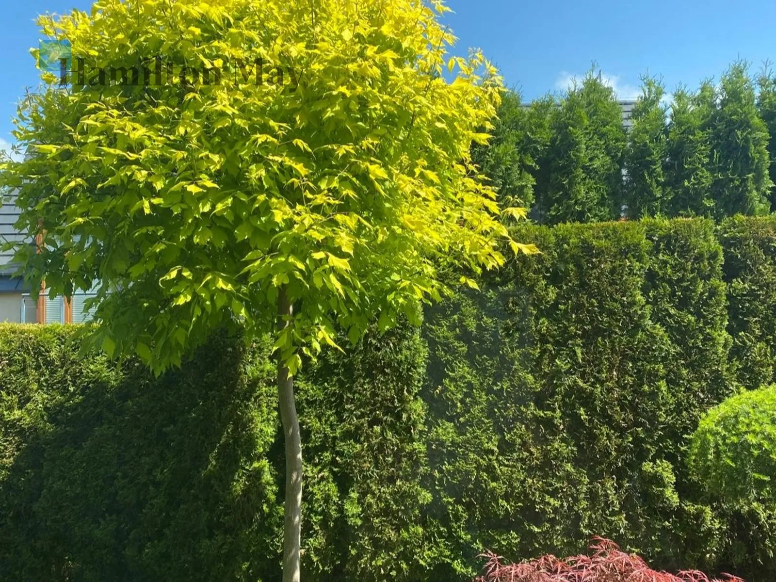 An elegant, comfortable semi-detached house on Parkowe Wzgórze in Mogilany - slider