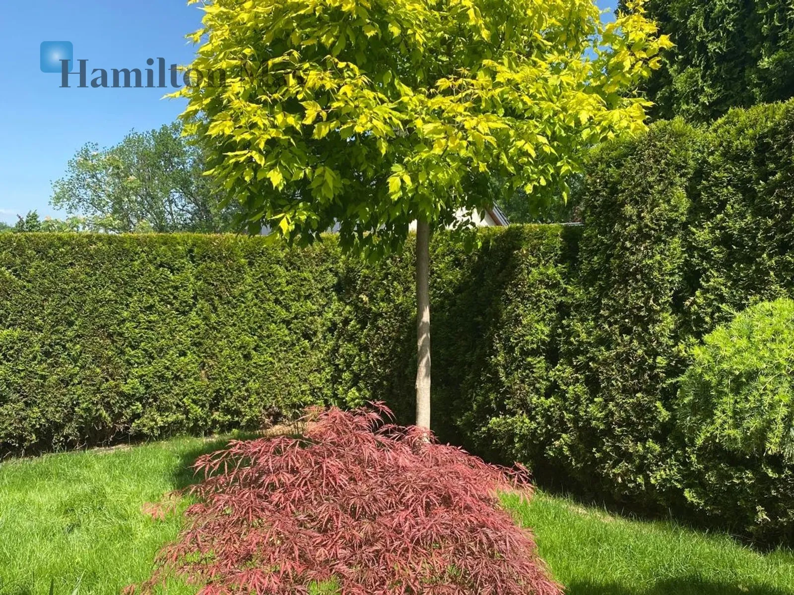 An elegant, comfortable semi-detached house on Parkowe Wzgórze in Mogilany - slider