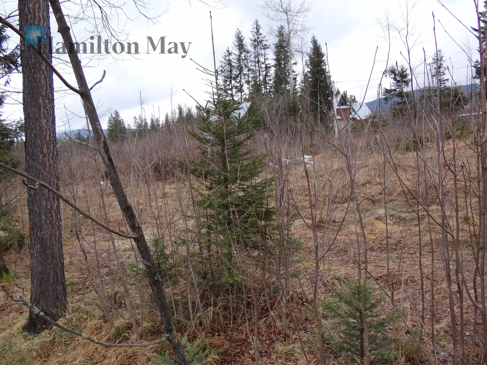 Street: Stanisława Nędzy-Kubińca Region: Kościelisko Distance to centre: 86.64 km Price: 4400000 PLN Bedrooms: null Bathrooms: null Plot size: 3342m2 Price/m2: Infinity PLN - slider