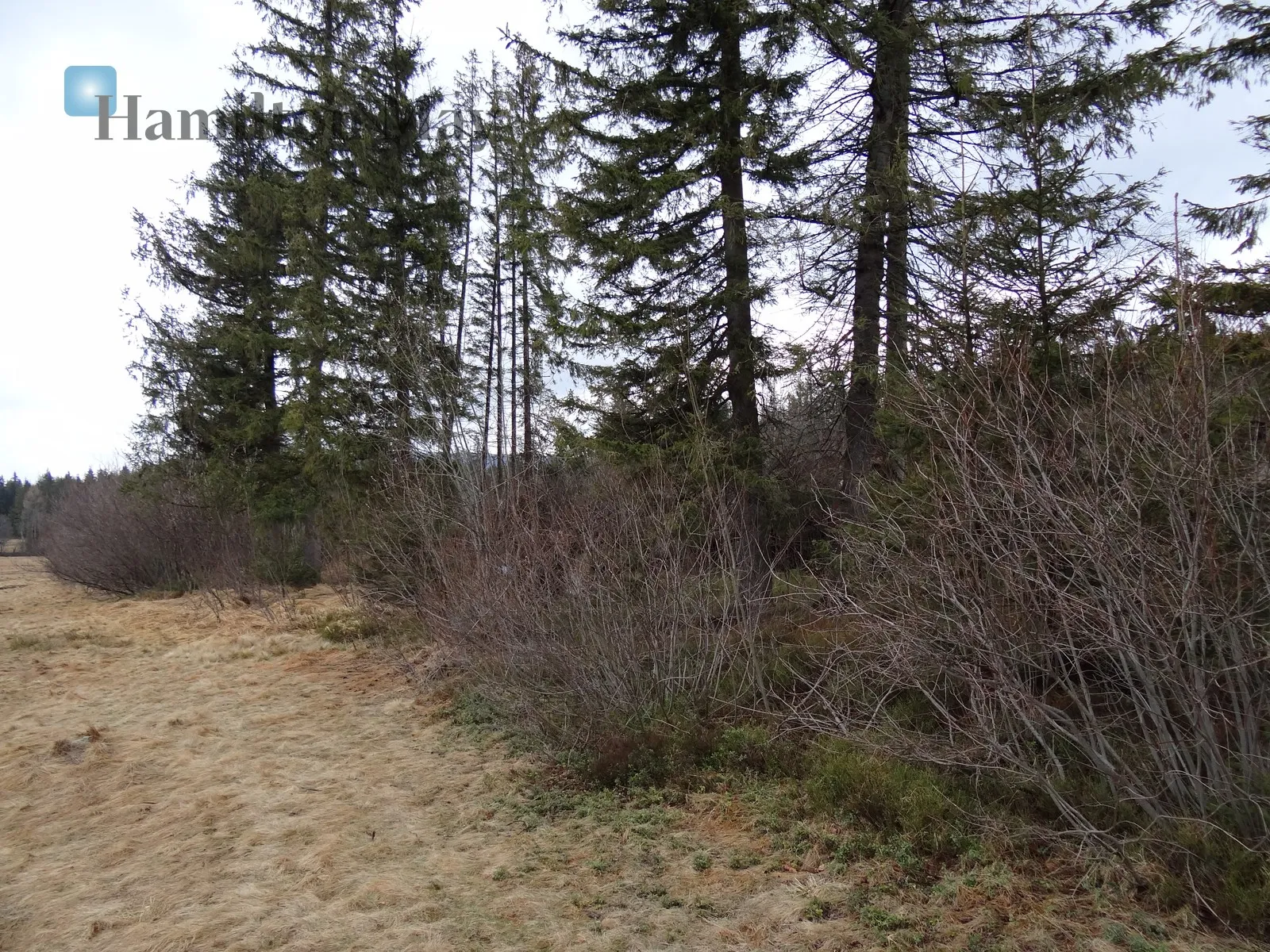 Street: Stanisława Nędzy-Kubińca Region: Kościelisko Distance to centre: 86.64 km Price: 4400000 PLN Bedrooms: null Bathrooms: null Plot size: 3342m2 - slider