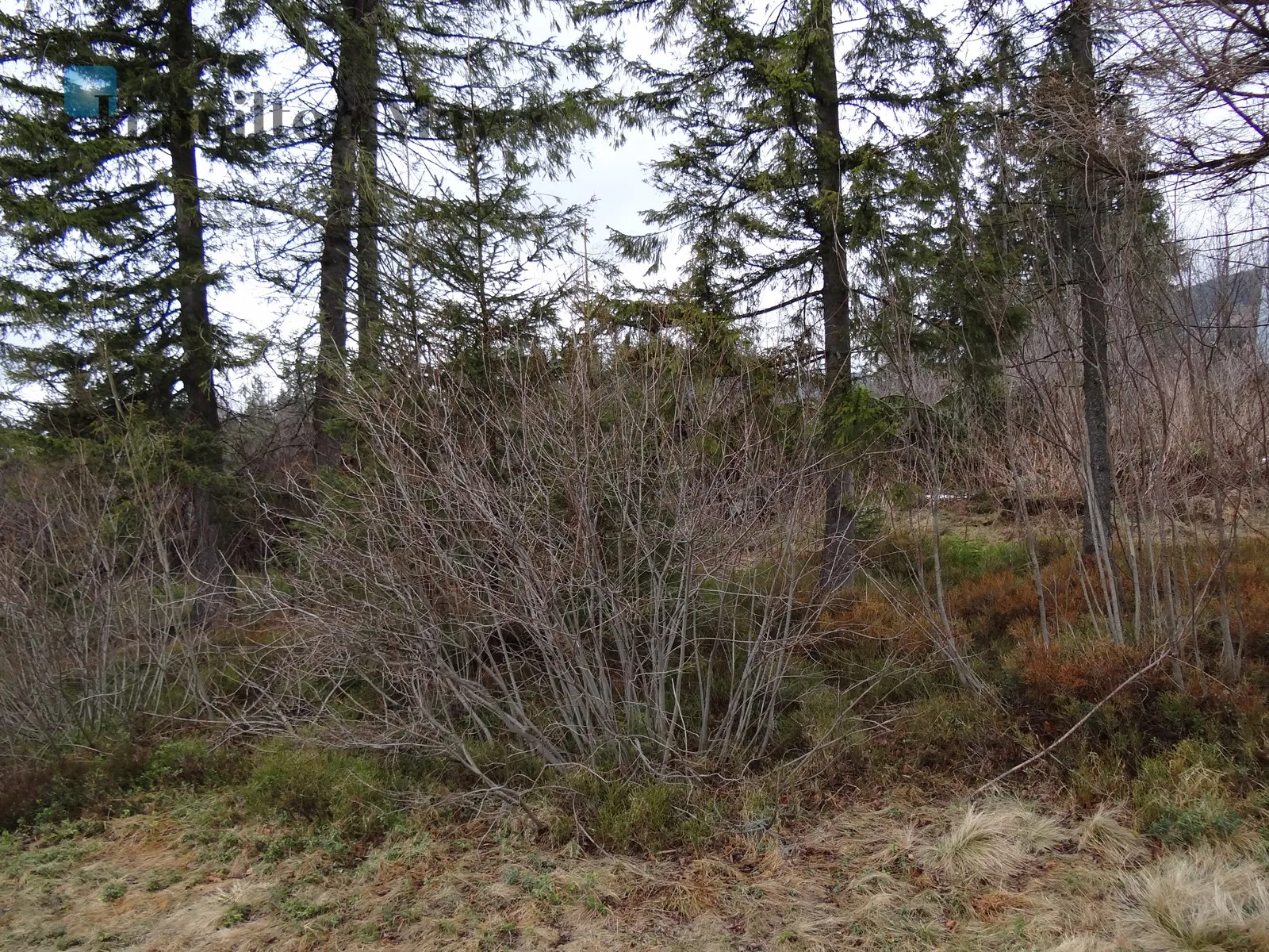 Region: Kościelisko Distance to centre: 86.64 km Price: 4400000 PLN Bedrooms: null Bathrooms: null Plot size: 3342m2 Price/m2: Infinity PLN - slider