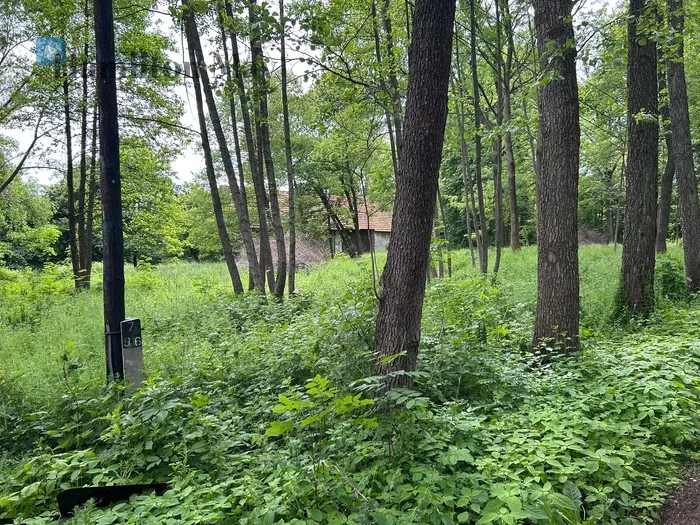 City: Regulice Street: Regulice Region: Regulice Distance to centre: 29.49 km Price: 895000 PLN Bedrooms: null Bathrooms: null Plot size: 8600m2 - slider