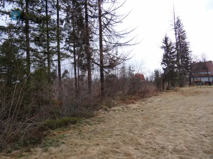 City: Kościelisko Street: Stanisława Nędzy-Kubińca Region: Kościelisko Distance to centre: 86.64 km Price: 4400000 PLN Bedrooms: null Bathrooms: null Plot size: 3342m2 - slider