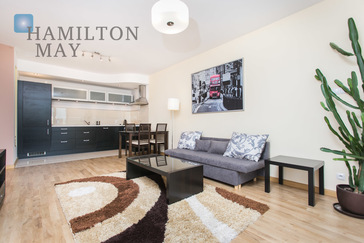 One Bedroom Apartments For Rent Krakow Hamilton May